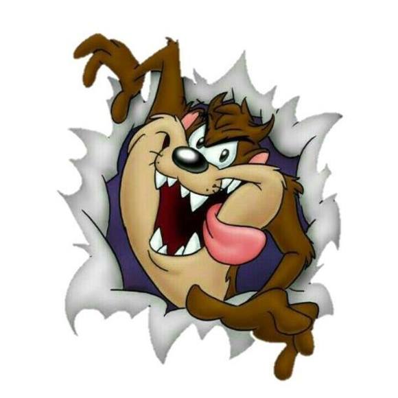 Meet your Posher, Steve - Picture 1 of 1